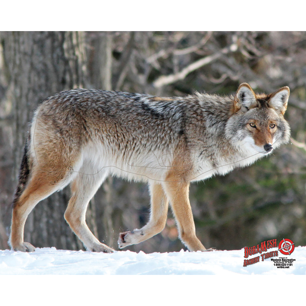 Duramesh Archery Target Coyote 25 In. X 32 In.