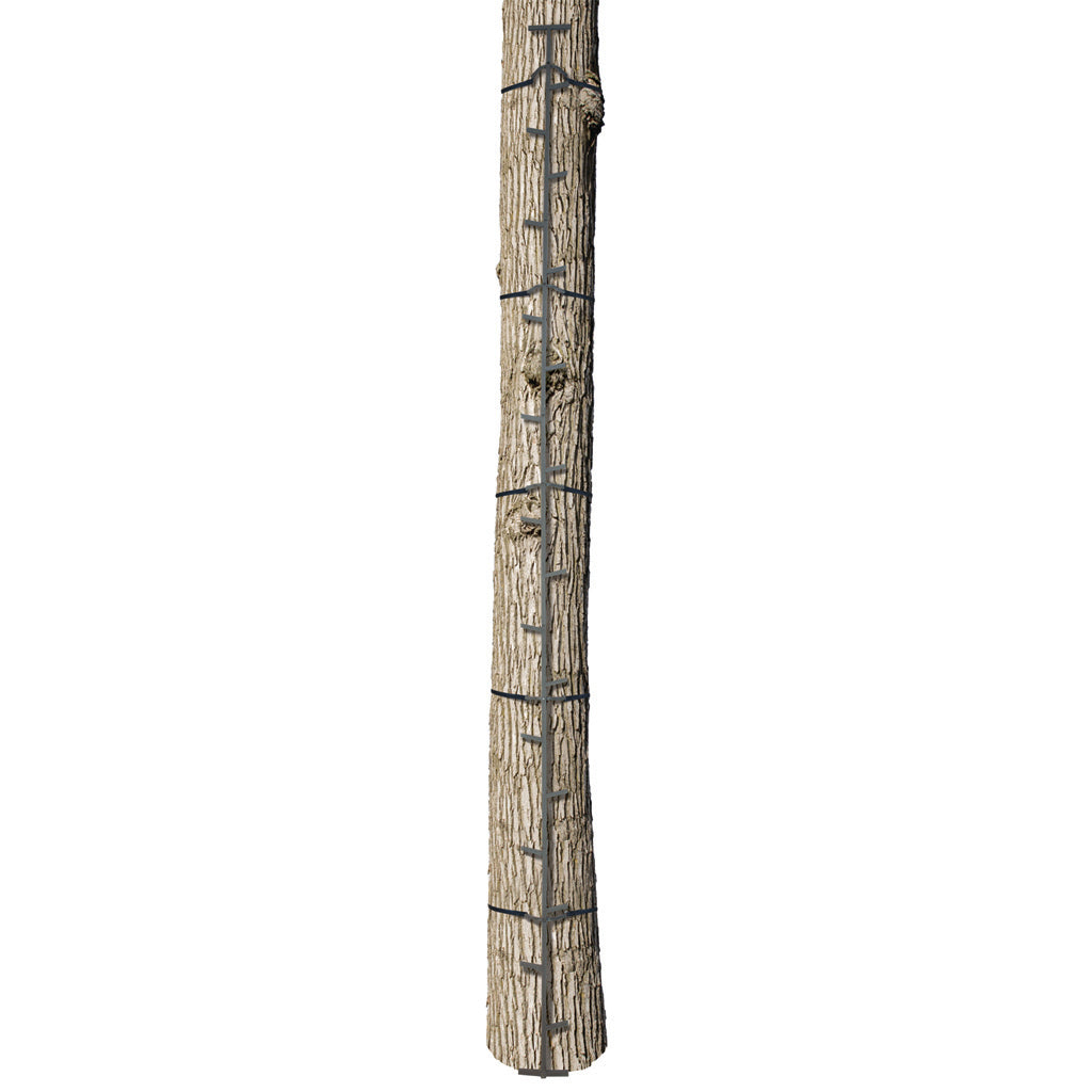 Big Game The Quick-stick Climbing Stick 20 Ft.
