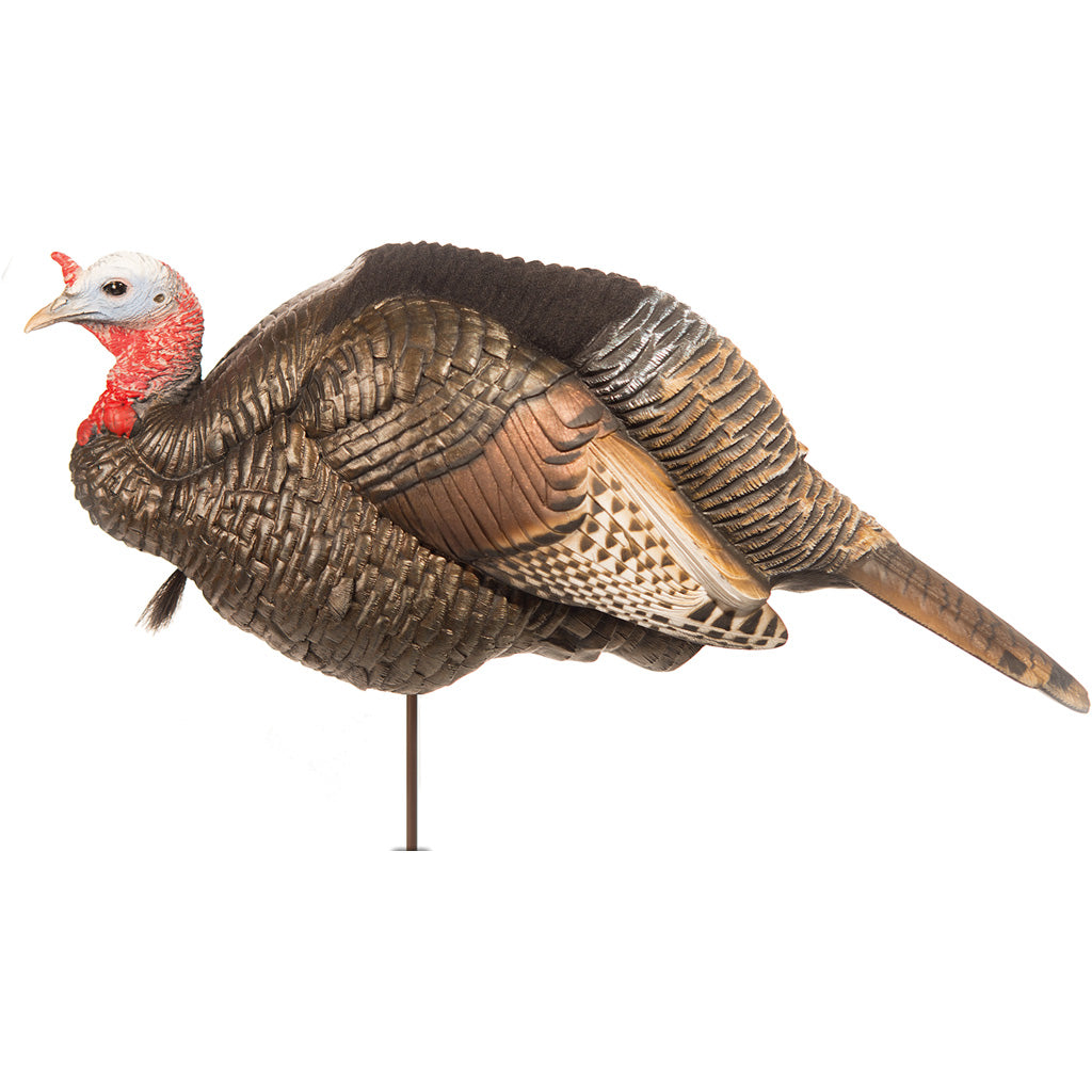 Dave Smith 3-4 Strut Jake Decoy