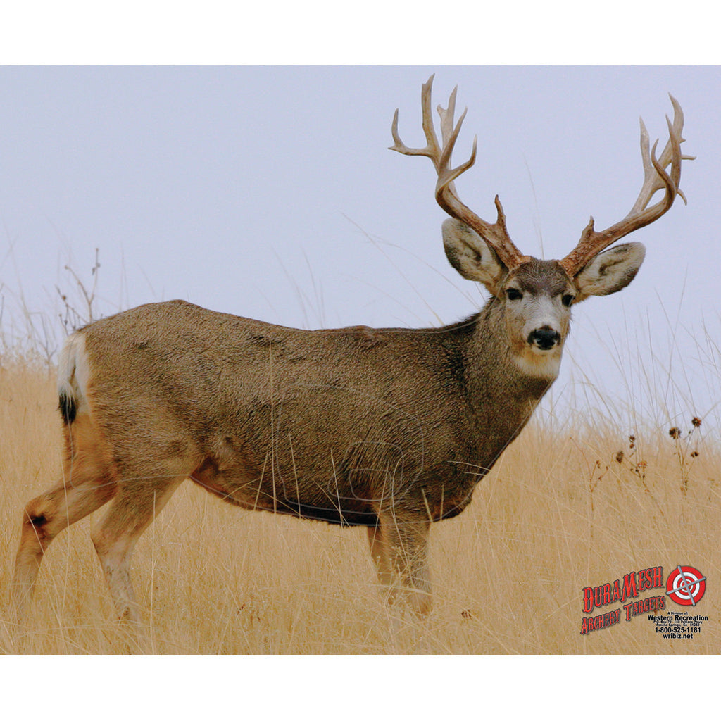 Duramesh Archery Target Mule Deer 2 25 In. X 32 In.